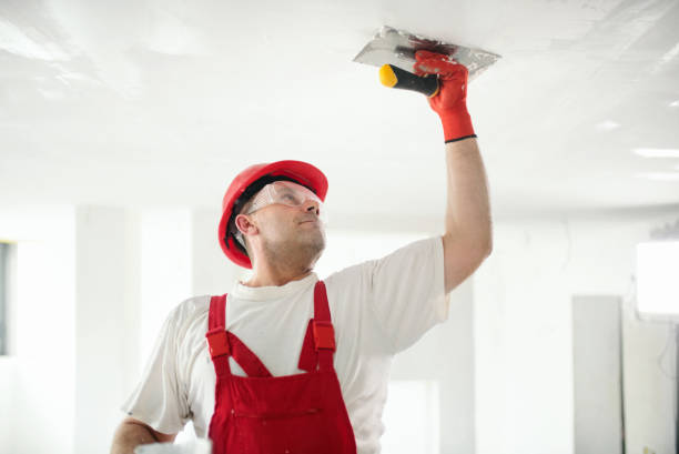 Best Trim and Molding Painting  in USA